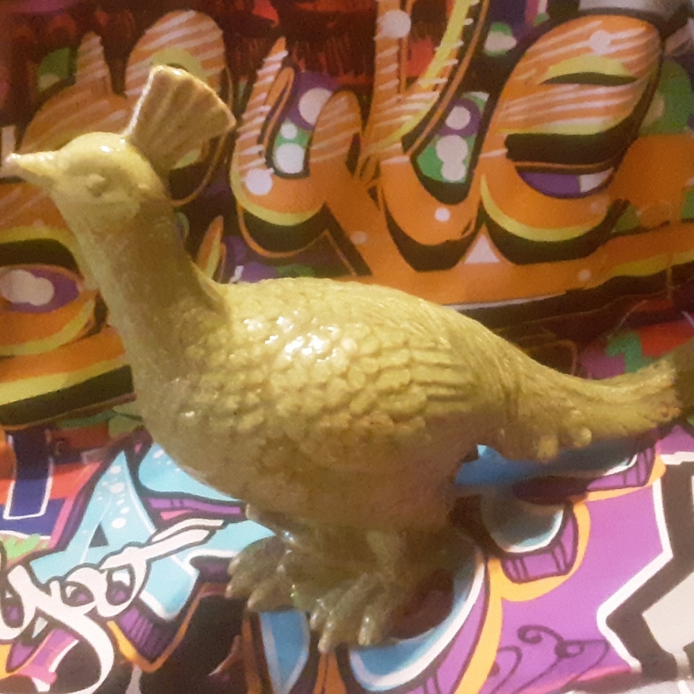 peacock